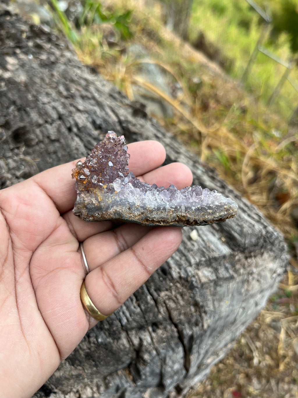 Flor de amatista