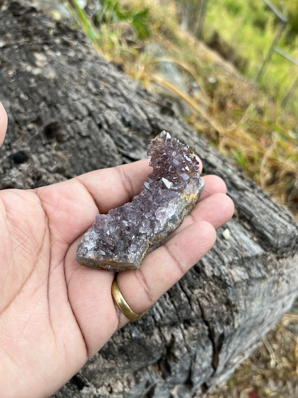 Flor de amatista