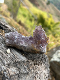 Flor de amatista