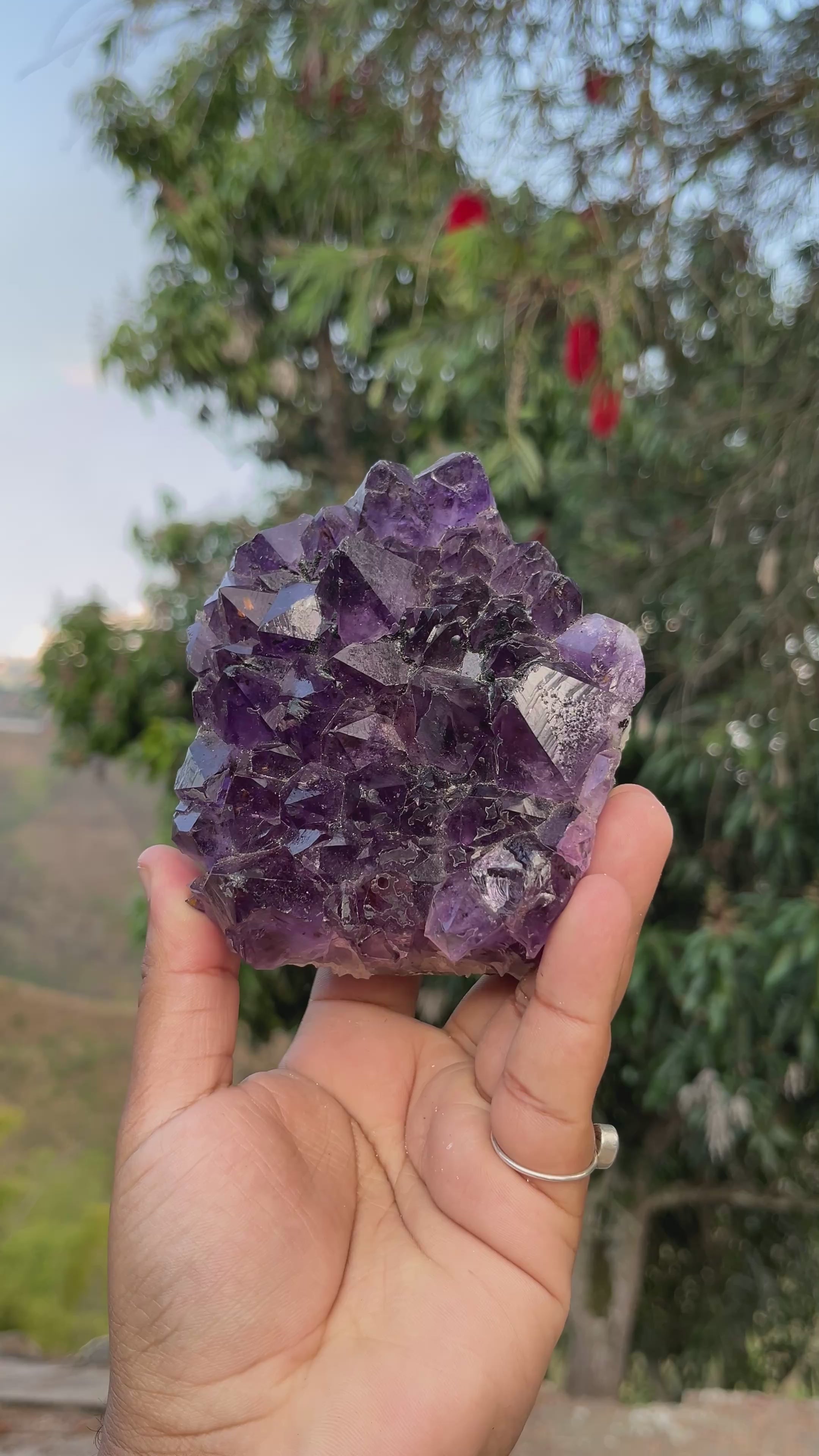 Amatista deep purple