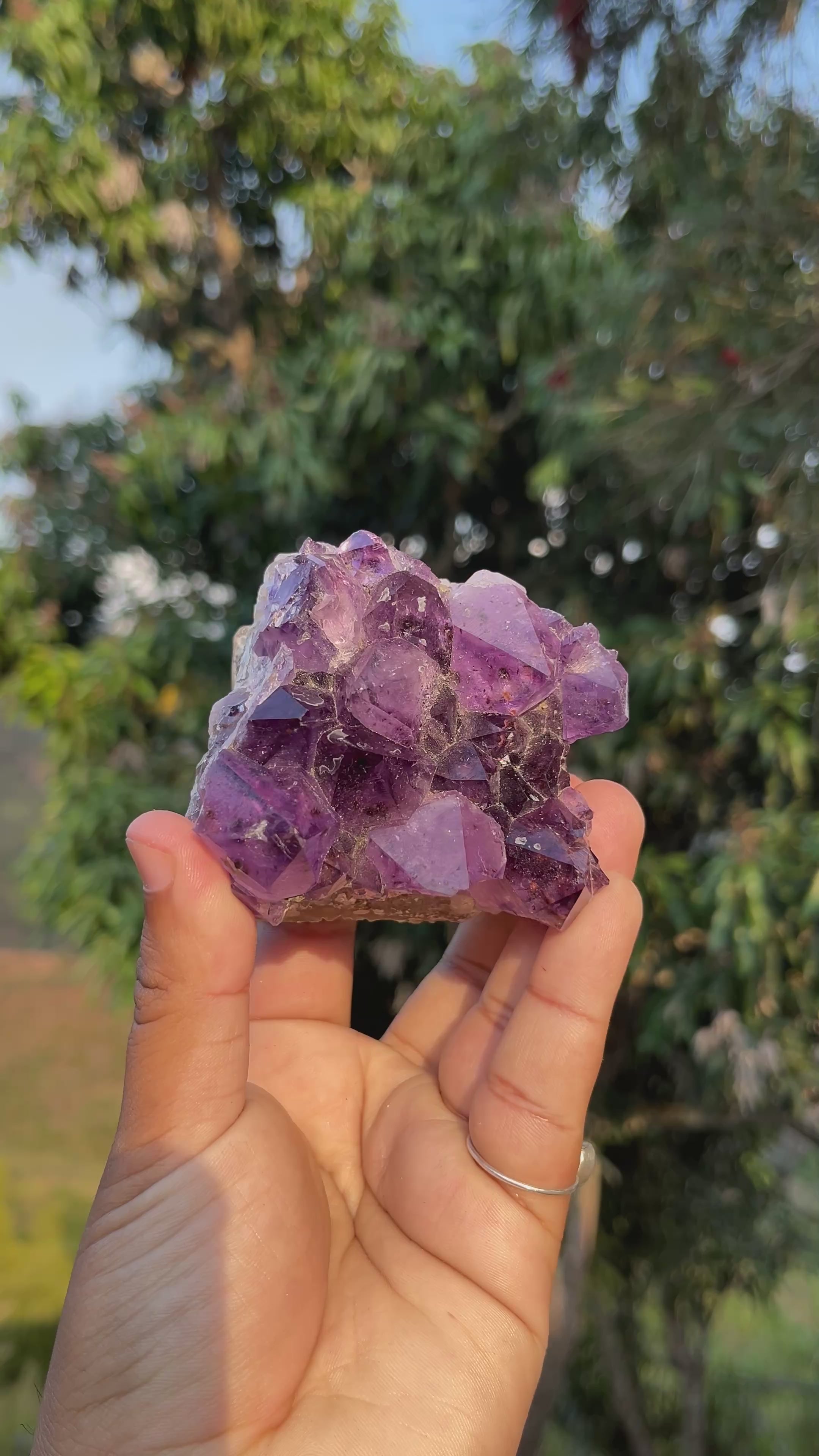 Amatista deep purple